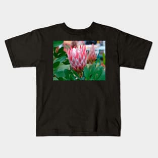 Protea Cynaroides Flower Kids T-Shirt